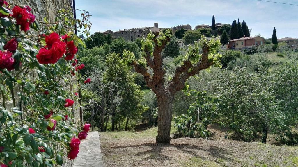 Bed and Breakfast Colombaio In Colle Sant'Angelo in Colle Екстер'єр фото